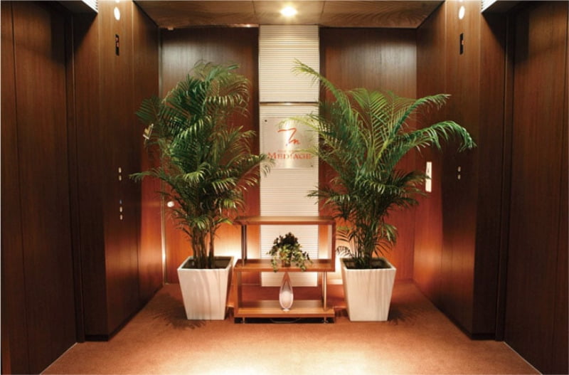 メディアージュクリニック青山